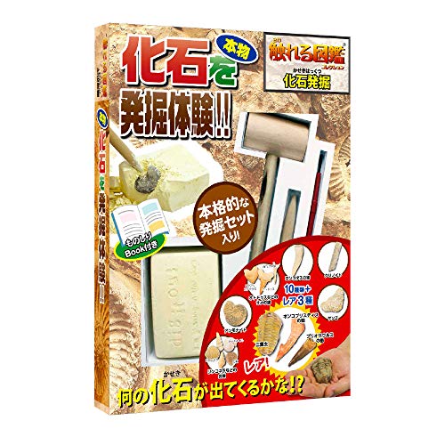 100均で感動の化石発掘体験 恐竜が出てくるキットの内容紹介 オウチーク 100均で感動の化石発掘体験 恐竜が出てくるキットの内容紹介 オウチーク