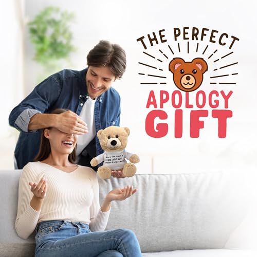 Sorry-Im-An-Idiot-10-Teddy-Bear-with-Gift-Bag-Cute-Funny-Apology-Plush-for-Girlfriend-Boyfriend-Best-Friend - DumpADate.com
