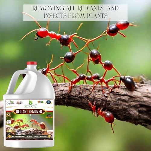 Image of Red Ant Remover, Essential Organic Powerful Liquid Insecticide for Removing all types of red ants and insects from Plants and soil. (500 ml)