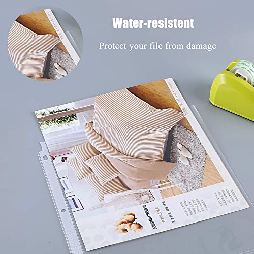 Seashell 300 Pack Economy Sheet Protectors 8.5 X 11, Clear Page Protectors Fit 3 Ring Binder, Acid Free, Letter Size, Top Loading, Plastic Sleeves For Binders, Business And School Organizers #TOP2