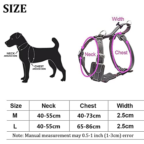 Wishdeal Hundegeschirr aus Echtem Leder langlebig Verstellbar für Große Hunde Schnelle Kontrolle mit Griff Haustierzubehör für K9 Labrador (L)