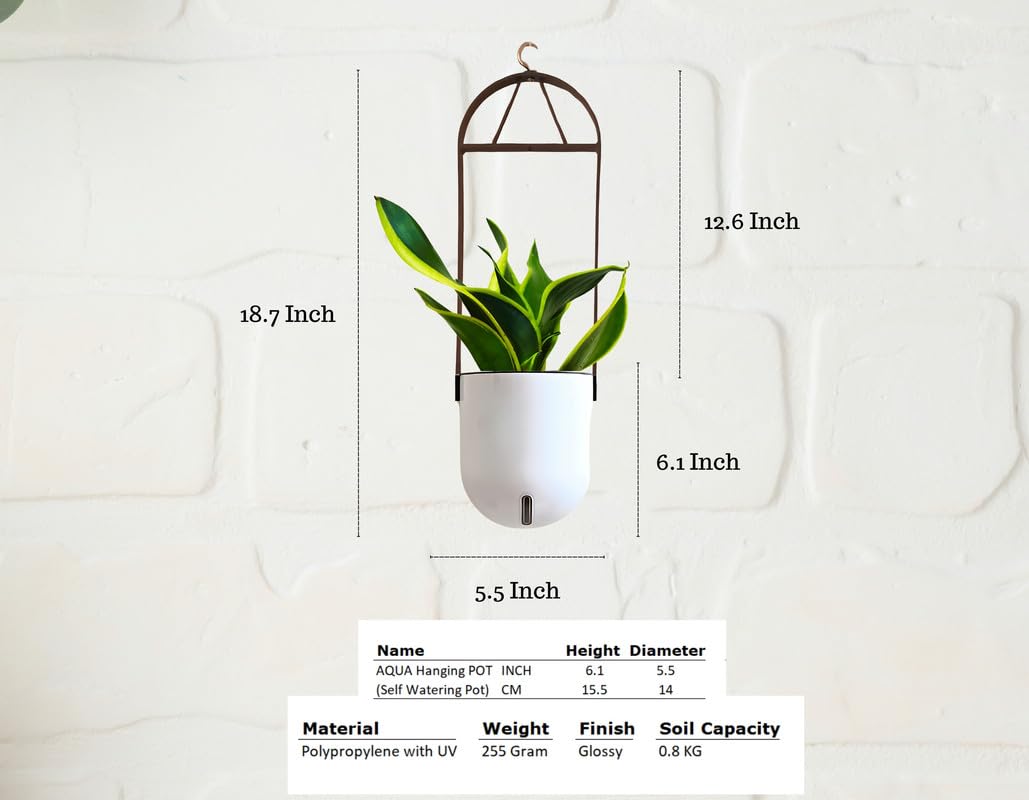 Indian Discovery® Self Watering Ceiling Hanging Planter|Hanging/Hooked Flower Pots for Home, Balcony, Vertical Garden Decor Flower Pots(2 PC,White, Sphere)|6 Inch UV-Resistant Plastic Plant Pots 1