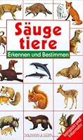 Die Säugetiere. Wissen für Kinder 3625103303 Book Cover
