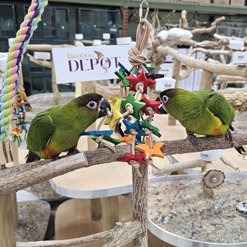 Birds LOVE Wood Stars & Leather Toy for Bird Cage Stand or Playgym, Bird Toys for Small to Medium Parrots, Sun Conures, Green Cheeked Conures, Quakers, Parakeets, Caiques, Cockatiels, African Senegals - Image 3