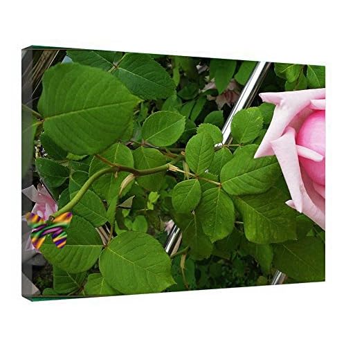 Lienzo decorativo de pared con marco de madera, con diseño de Vals de primavera y marco listo para colgar, de 30 x 40 cm