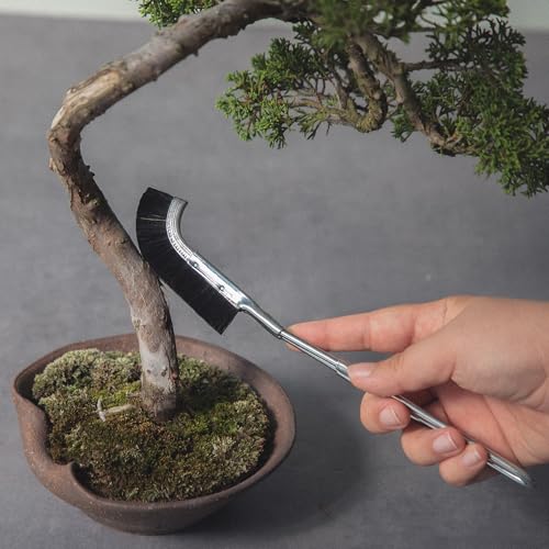 Pincel Curvo para Bonsái Wazakura 23.5 cm Negro miniatura 4