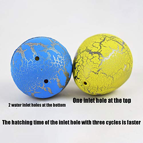 SamMoSon Uova Dinosauro Che Si Schiudono in Acqua