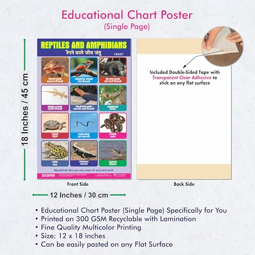 Image of ESCAPER Reptiles Educational Charts for Kids Learning (11.5 x 17.5 Inches), Study Material, Learning Books, Posters