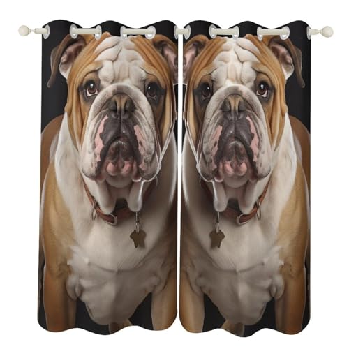 Rideaux occultants bouledogue anglais isolation thermique de salon