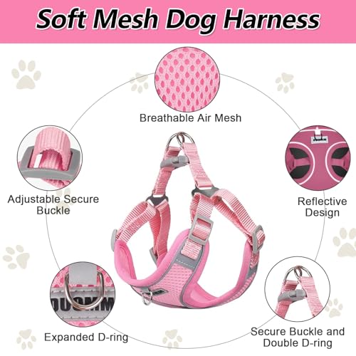Ledeak No Pull Harness for Dogs Breathable Mesh Step in Dog Harness, Adjustable Dog Harnesses - Image 2