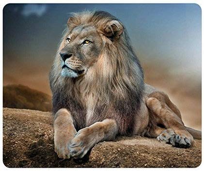 ���C�I�������b�N�X�J�X�^�}�C�Y�}�E�X�p�b�h�A�}�E�X�p�b�hMP7472