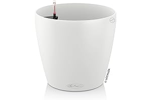 Lechuza Classico 28 Self-Watering Garden Planter: Indoor and Outdoor Plant Heaven!