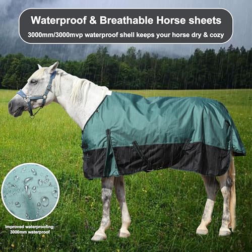 1200D Horse Blanket, 200g Medium Weight Waterproof Winter Turnout | 1200D Ripstop Outer, Waterproof Breathable Shell, Anti-Rub Lining, 200g Insulation, Keep Dry in Snow & Cold, Large Tail Flap - Image 6