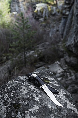 Buck Knives 119 Special Fixed Blade Knife