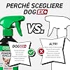 RepellShield Spray Disabituante per Cani - 250ml - Anti Pipì & Morsi, Protegge Mobili & Giardino - Non Macchia - Spray Amaro per Addestramento Cani e Gatti Sicuro & Efficace