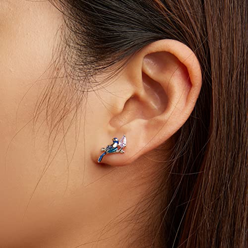 Clous d'oreilles colibri argent 925 pour illuminer votre style