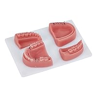 Vista 5 de Modelo de práctica de sutura dental Modelo completo de sutura que incluye 4 almohadillas de sutura Regalos perfectos para dentistas 6