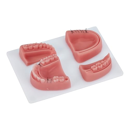 Miniatura 5 de Modelo de práctica de sutura dental Modelo completo de sutura que incluye 4 almohadillas de sutura Regalos perfectos para dentistas 6