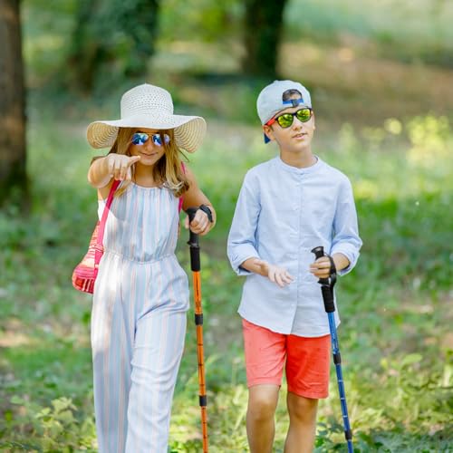 Ynaize 2 Pack Hiking Poles for Junior, Nordic Walking Pole Hiking Sticks Lightweight Collapsible & Shock-Absorbent Aluminum with Quick Adjustable Locks for Youth & Women- Black