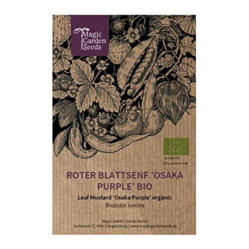 Mostaza de hoja china 'Osaka Purple' (Brassica juncea) orgánica - aprox. 300 semillas