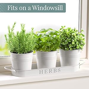 Barnyard Designs Indoor Herb Garden Planter Set with Tray, Metal Windowsill Plant Pots with Drainage for Outdoor or Indoor Plants, Set/3 (White) Barnyard Designs Indoor Herb Garden Planter Set with Tray Metal Windowsill Plant Pots with Drainage for Outdoor or Indoor Plants Set3 White