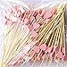 Spldsun 100 PièCes Batons de Cocktail, 12 cm Jetable Bambou Cœur, Cure-Dents en Bois fête Fournitures Brochettes, pour Nourriture Décorée, Verre à Cocktail, Fête d'anniversaire de Carnaval