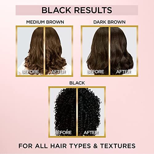 L’oréal Paris Le Color One Step Toning Hair Gloss, Black Noir, 4 Ounce #TOP3