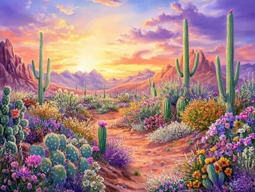 Peinture par numéro adulte débutants toile facile grand format cactus