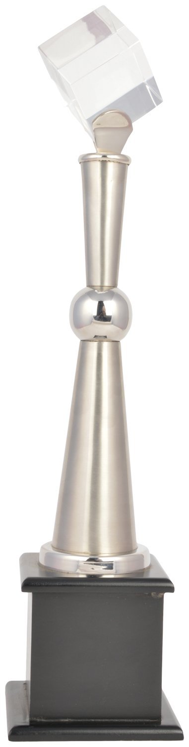 Stainless Steel Trophy (Silver, 15 inches)-picture-24