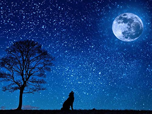 JuZi malen Nach zahlen Erwachsene malen Nach