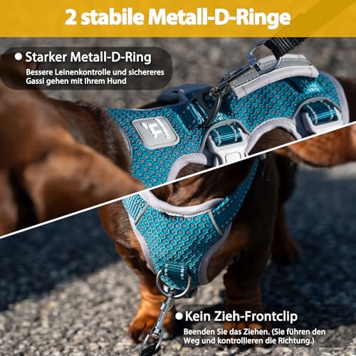 Huntboo Sicherheitsgeschirr Hund Ausbruchsicher, Panikgeschirr für Hunde, Reflektierendes Geschirr mit Gepolstertem Griff, Verstellbare Weste für Kleine Hunde, die Spazieren Gehen (Blau,XS)