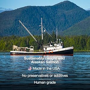 Wild Alaskan Salmon Oil for Dogs Cats Ferrets Unscented Antiitch Skin and Coat Supplement with Omega3 Vitamins  Liquid Fish Allergy Relief Pump on Food  Kitten Supplies  Accessories Stuff  Cucciolini Doodles Wild alaskan salmon oil for dogs cats ferrets unscented anti itch skin and coat supplement with omega 3 vitamins  liquid fish allergy relief pump on food  kitten supplies  accessories stuff   cucciolini doodles