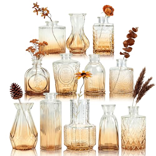 BTSD-home Lot de 12 vases pour fleurs, petits vases pour décoration de table, décoration de mariage, salon, centre de table rustique et décoration...