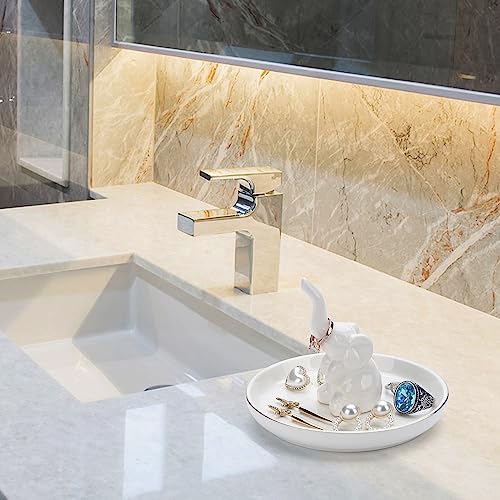 Consejos y comparativas para Comprar Pata de elefante planta para comprar hoy. 22 Imagen adicional