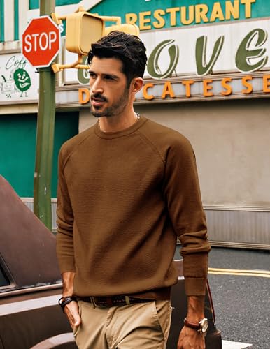 Pj Paul Jones Pj Mens Casual Crew Neck Sweaters Wool Blend Knit Pullover Soft Stretch Fitted Brown thumb #2