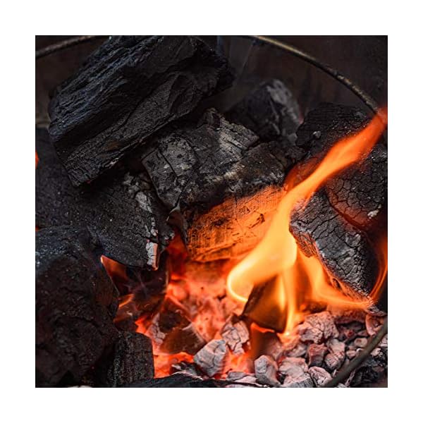 Premier Specialty Brands LLC - Fire Starter, 24-Pack – Bild 5