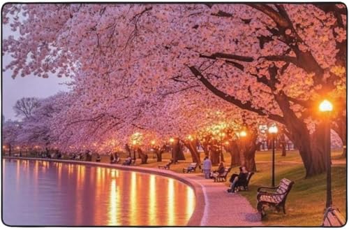  ̖؂̉̕i O O}bg J[ybg 100 * 150 Cm J[ybgΉ ~ ` ~ߕt EHbVu I[V[YKp