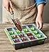 Burpee SuperSeed Seed Starting Tray | 16 XL Cell | Reusable & Dishwasher Safe | for Starting Vegetable Seeds, Flower Seeds & Herb Seeds | Indoor Grow Kit for Deep-Rooted Seedlings, Green