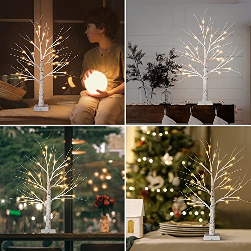 Woohaha 2Ft Lighted Birch Tree With 24L Warm White Leds,Mothers Day Decoration,Battery Powered Timer Money Tree,Artificial Mini Christmas Tree Gift Card Tree For Home Party Wedding #TOP3