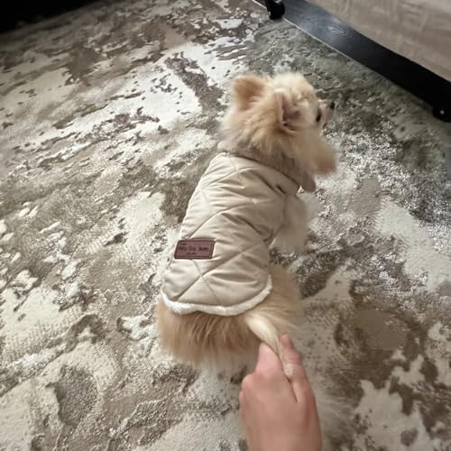 Hundemantel Winter - Wasserdichter Warmer Winterjacke für Hunde und Katzen - Weicher Fleece Weste für Kleine Haustiere (XL, Beige)
