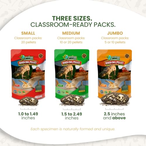 Image of Barn Owl Pellets for Dissection for Classrooms, Small 20-Pack Kit by OBDK | Forceps, picks and instructor guide included, life science and ecology, bone sorting chart, hands-on lab activity