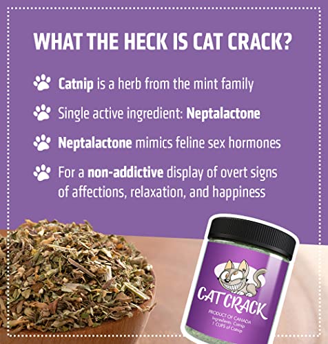 Cat-Crack-Catnip-100-Natural-Cat-Nip-Blend-That-Energizes-and-Excites-Cats-Safe-Non-Addictive-Catnip-Treats-Used-for-Cat-Play-Cat-Training-New-Catnip-Toys-Cat-Tree-Cat-Bed-1-Cup