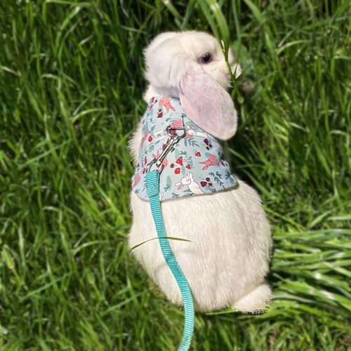 Image of 2Pcs Rabbit Harness and Leash Set Soft Adjustable Clothes for Bunny Guinea Pigs Chinchillas Small Pets Walking Harness Small Rabbits Outdoor Camping Hiking Training (M)