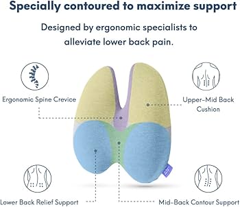 Amazon.com: C CUSHION LAB Extra Dense Lumbar Pillow - Patented