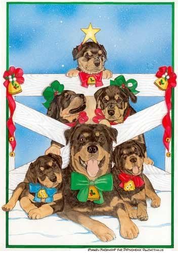 Pipsqueak Rottweiler Christmas Cards Family Tree : 10 Holiday Cards with Red Envelopes - ADORABLE!