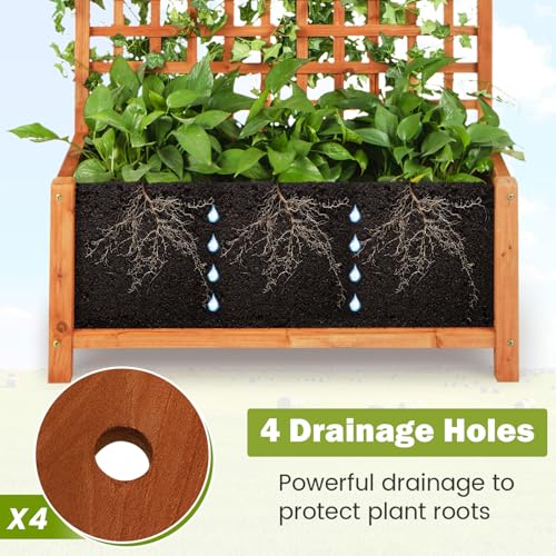 Lit de jardin surélevé pour protéger les plantes et jardiner sans effort