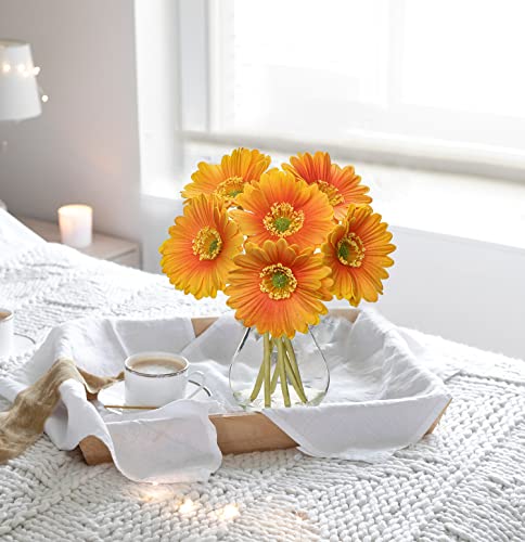Briful Gerbera Daisy Artificial Flowers With Vase, Fake Daisy Flowers In Glass Vase With Faux Water, Real Touch Silk Faux Flowers With Stem For Home Bookshelf Tabletop Bathroom Decorations,Orange #TOP4