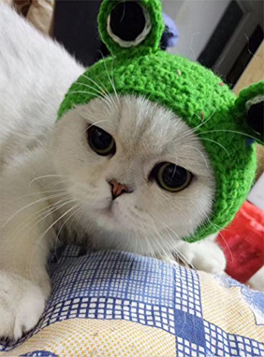 Hillento Pet Hat - Dog Cat Pet Cap Handmade Knitted Woolen Yarn Hat For Puppy Teddy Cartoon Frog Animal Dog Cat Grooming Accessories Apparels, Green, S #TOP6