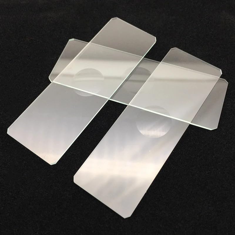 50 Pezzi Vetrini Singoli Concavi for Microscopio Biologico Vuoti Rotondi for Laboratorio Riutilizzabili 1" x 3" (25,4 76,2 mm)
