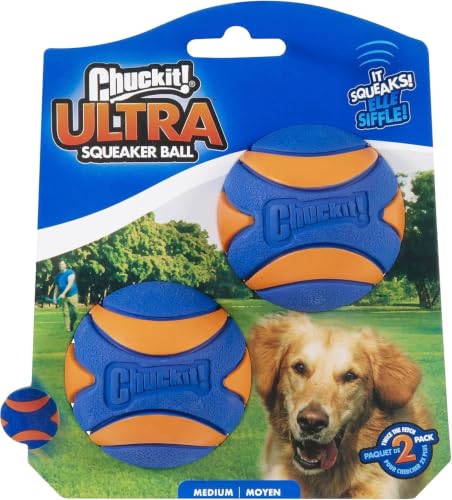 Image of Chuckit! Ultra Squeaker Balls for Dogs, Floating Water Pet Toys, Durable Rubber Pet Toy, Bouncy Squeaky Fetch Balls for Dogs, Medium (2.5 inch) 2 Count (Pack of 12)